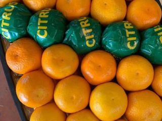 Sell tangerines Satsuma (made in Turkey) price $ 0.55