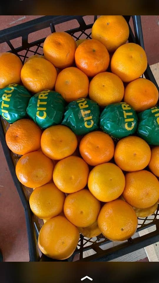 Sell tangerines Satsuma (made in Turkey) price $ 0.55 / kg price on EXW Antalya terms Certificate of quality Packaging at the request of the customer: paper