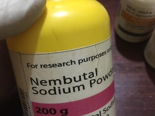 Buy Nembutal, Buy Pentobarbital Sodium Online Nembutal belongs toClass