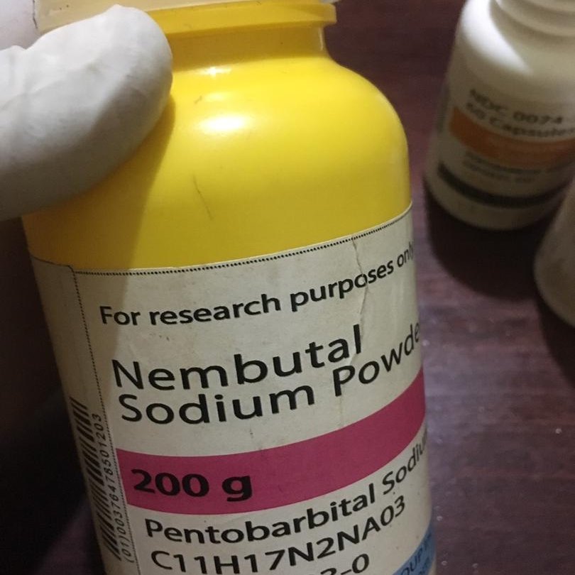 Buy Nembutal, Buy Pentobarbital Sodium Online Nembutal belongs toClass of barbiturates and acts as a depressant or sedative