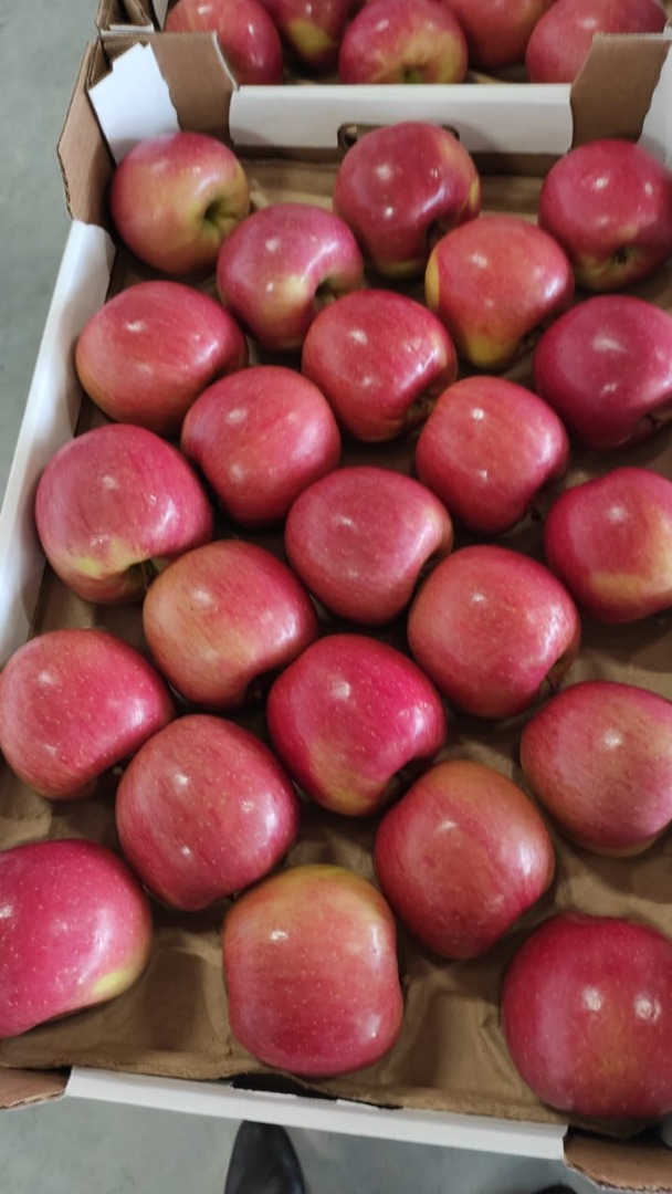 Hello, we are accepting orders for apples harvest 2021 directly from the apple orchard