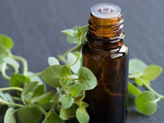 I have Origanum oils ready to sell from Mersin