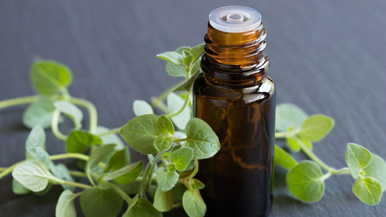I have Origanum oils ready to sell from Mersin /TURKEY Origanum Onites 350 kg Origanum Syriacum 130 kg Origanum Majorana - Origanum dubium Boiss 250 kg