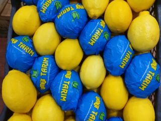 We have many kinds of citrus fruits. For detailed