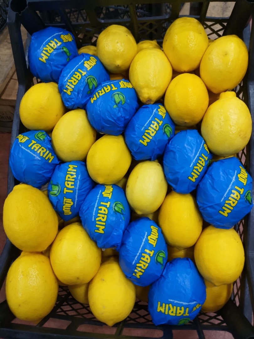 We have many kinds of citrus fruits