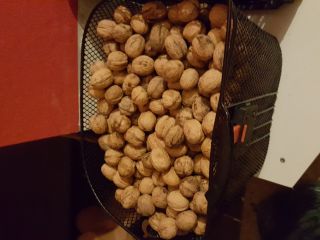 Delicious walnuts for sale