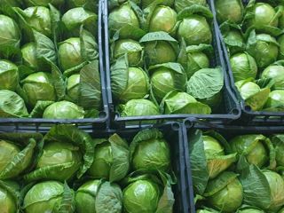 originaly comes from Albania,and is e very good product.We