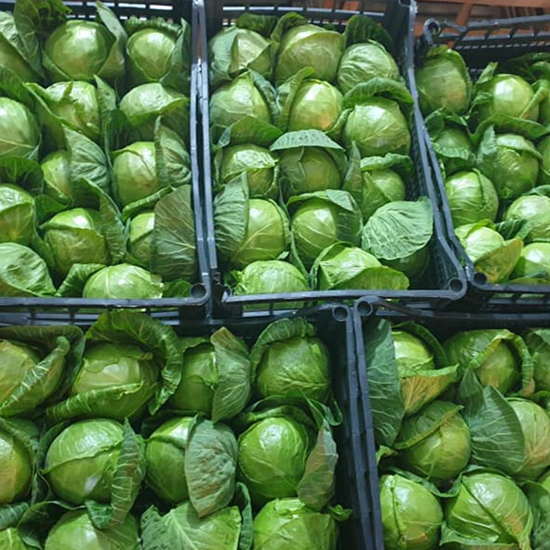 originaly comes from Albania,and is e very good product.We accept and more than a 5t and is certificated fro the origine