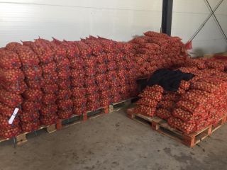 FERMA POMICOLA LUCA SRL - Romania Milotai 10 Minimum