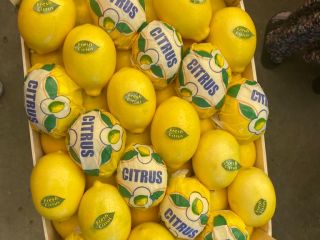 Sell lemon Enter (made in Turkey) Certificate of Quality