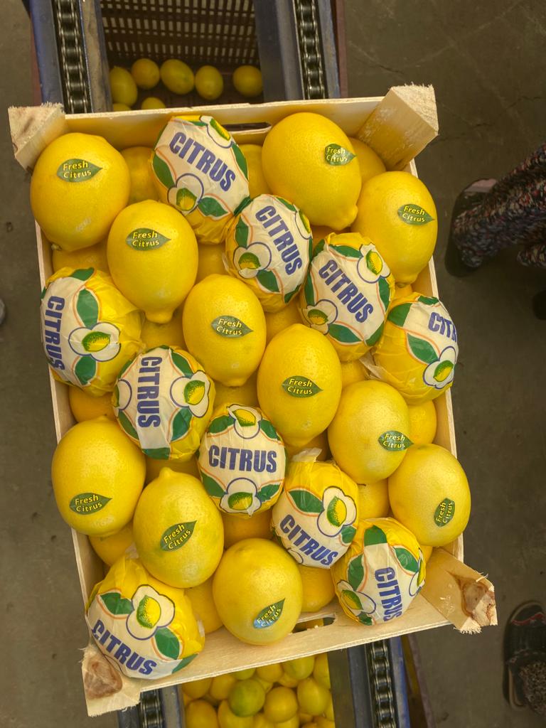 Sell lemon Enter (made in Turkey) Certificate of Quality Prices FCA-Antalya $ 0.60 / kg Packing at the request of the customer: paper, cardboard, wood