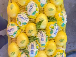 Sell lemon Mayer (made in Turkey) Certificate of Quality