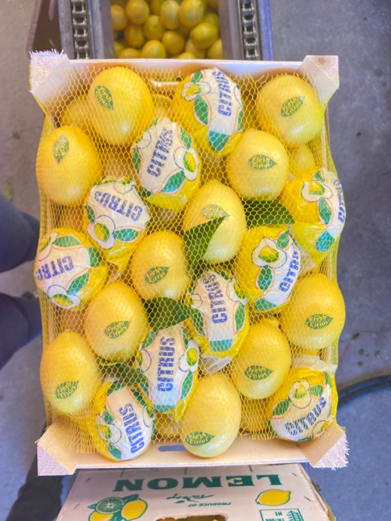 Sell lemon Mayer (made in Turkey) Certificate of Quality Prices FCA-Antalya $ 0.45 / kg Packing at the request of the customer: paper, cardboard, wood