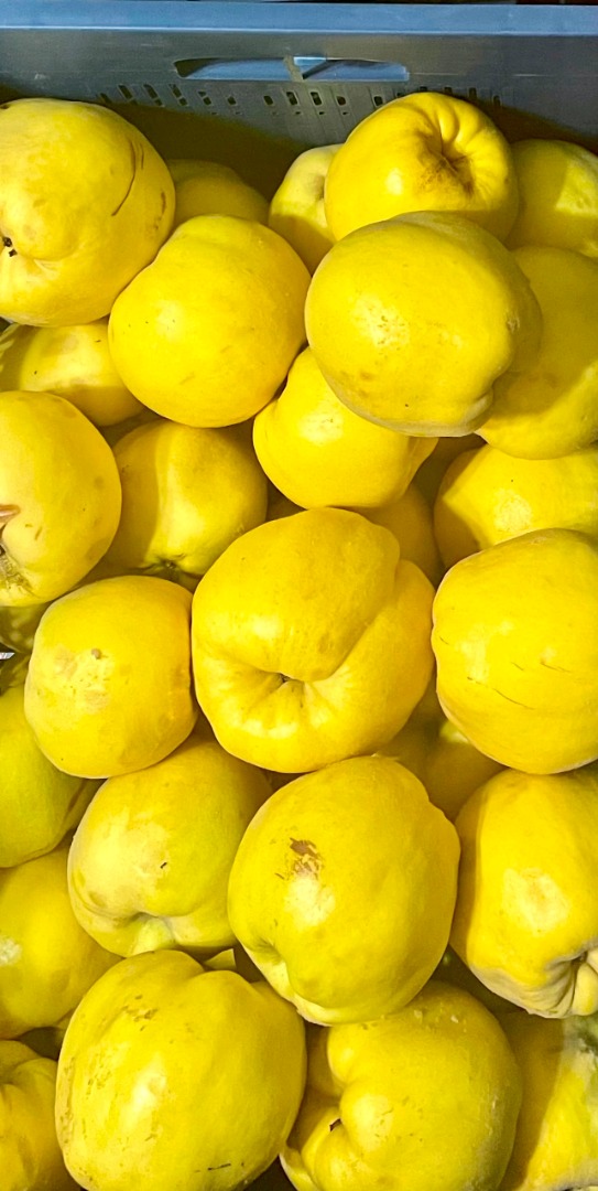 GOLDEN QUINCE