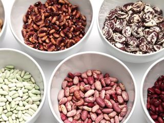 Beans in assortment with delivery from Ukraine We sell