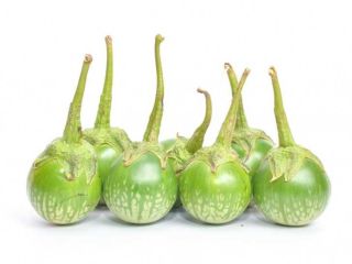 The Thai Aubergine, or eggplant as it is sometimes
