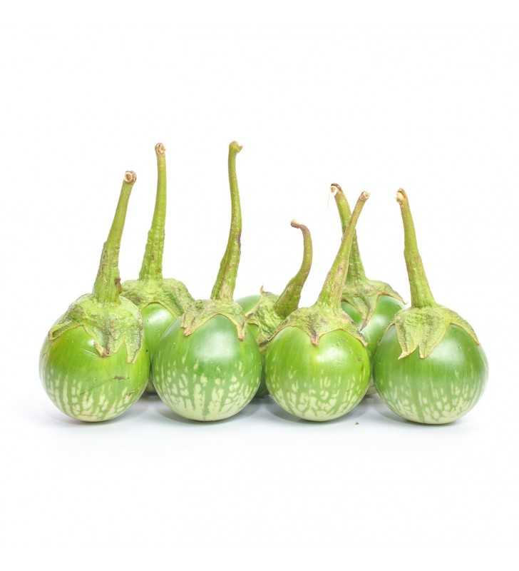 The Thai Aubergine, or eggplant as it is sometimes known, is a variety of the Kermit eggplant and comes in a variety of different colors