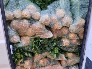 I am selling celery from Bulgaria with leaves and