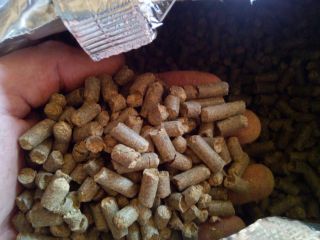 I have herbs hops varieties to sell -Marynka, Lubelski,