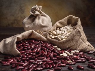 Sale of high-quality beans The Beans Natur Product company