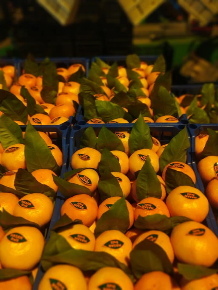 Sale of Satsuma mandarins, FCA price, minimum order - from 18 tons, quality certificate, packaging at the request of the buyer WhatsApp Telegram