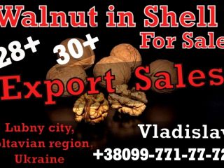 Short info Vladislav speaks Russian Denis speaks English Photos