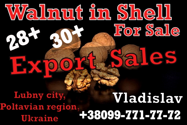 Short info Vladislav speaks Russian Denis speaks English Photos Friends Friends: 1 043 Aydın Incir محمد مال الله Narin Şarküteri Alper Yurtdaş Hasan Yıldırım