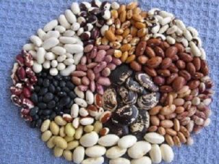 The Ukrainian company Beans Natur Product offers to buy