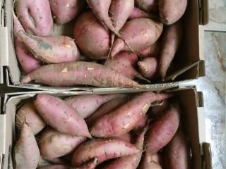 sweet potatoes