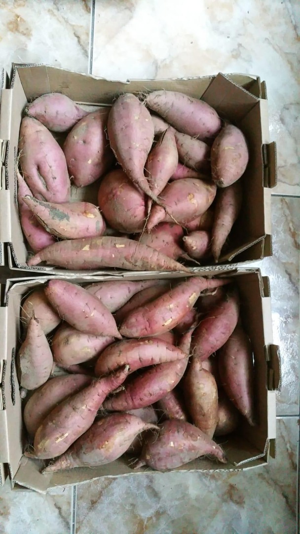 sweet potatoes