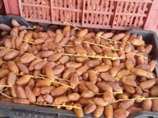 Sell large quantities of dates, for any info contact