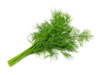 For sale dill 10 PLN per kg. More information
