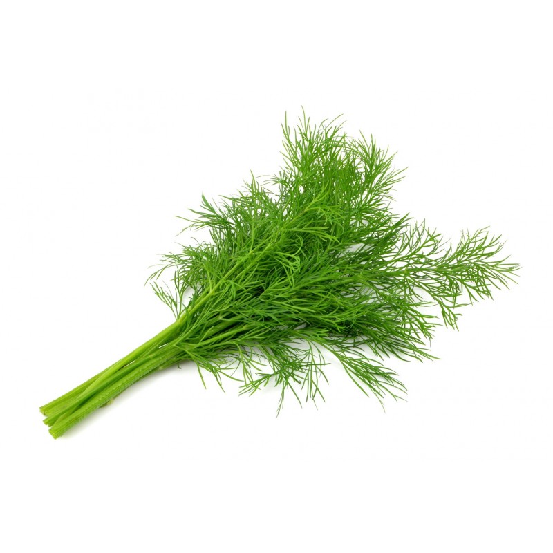 For sale dill 10 PLN per kg