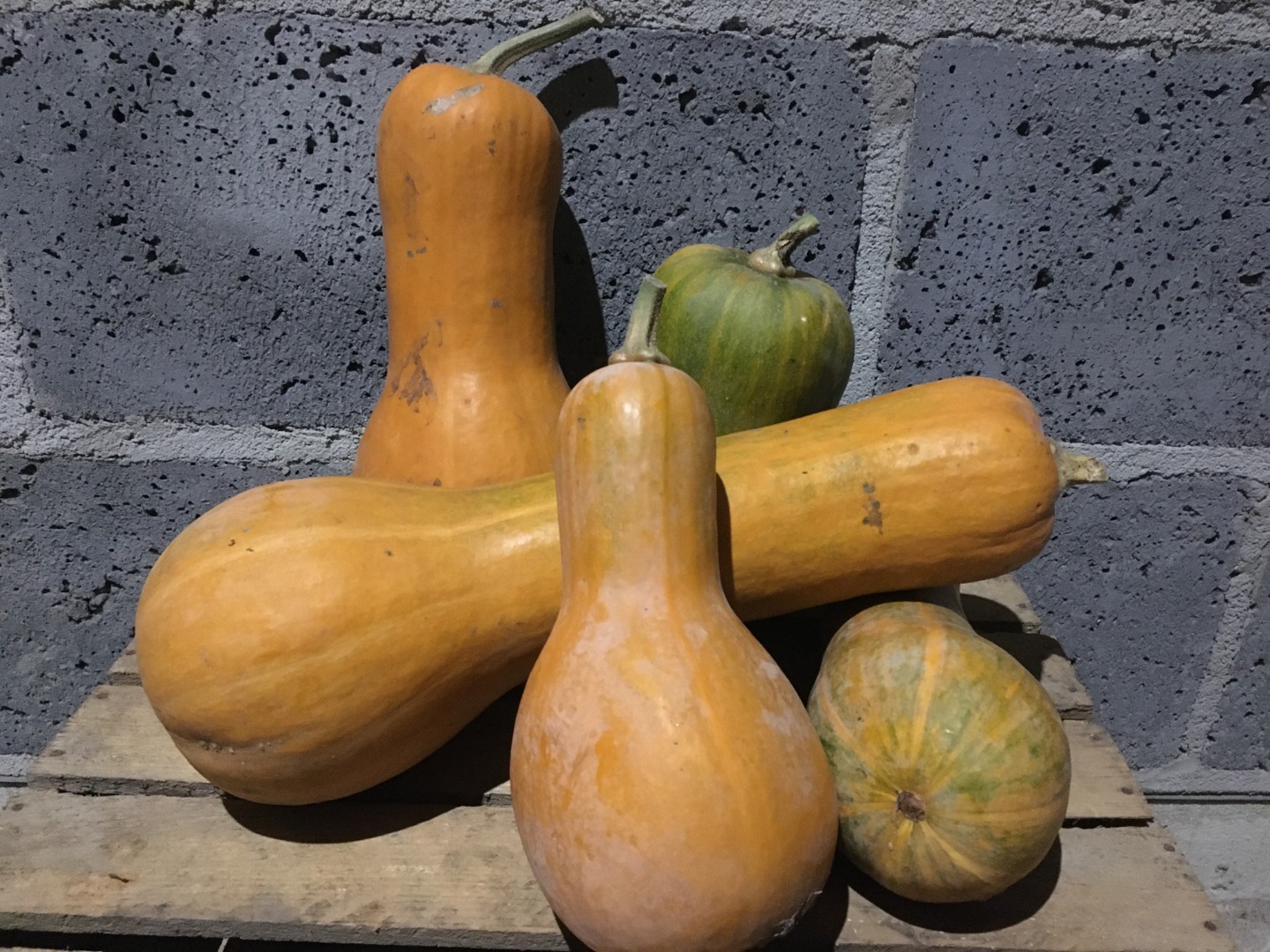 I will sell a butternut squash