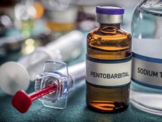 whatsapp +1 (920) 430-0754 Nembutal Euthanasia | Pentobarbital for