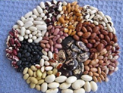 Variety beans from Ukraine The Ukrainian company Beans Natur Product offers high quality beans for purchase