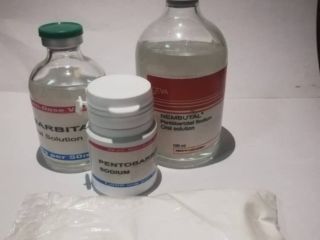 Order legit sodium pentobarbital (buy Nembutal online) What is