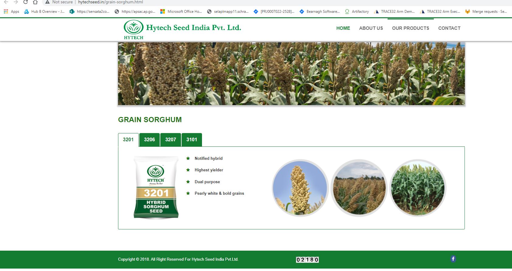 Ziarna białego sorgo 1000 quintas (100 ton) dostępne w sprzedaży w Proddatur, Andhrapradesh, Indie-kod pin: 516360 Rodzaj ziarna: Okrągły i biały w kolorze