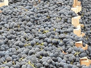 The grapes are kept in the refrigerator, I don't