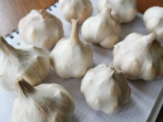 Szanowni Państwo, chciałbym sprzedać około 500 kg polskiego czosnku