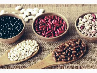 High quality beans from Ukraine Wholesale of beans. Selling