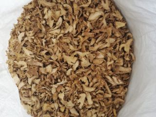 ginger. sliced product. 6mm fresh cut. dehydrator drying. temperature
