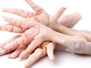 International Sales Manager with over 15 years of experience