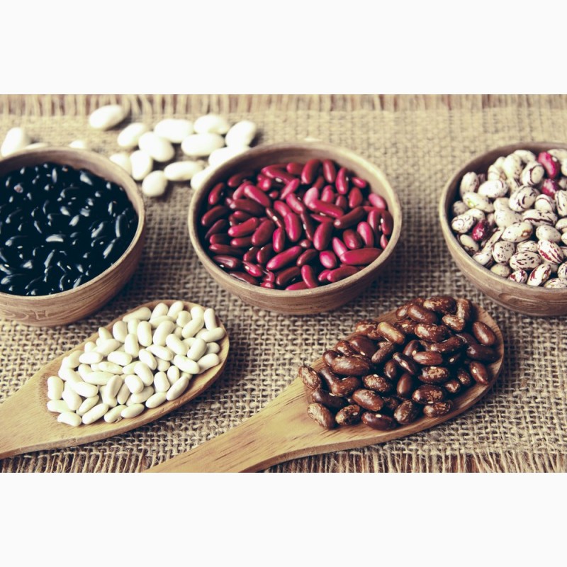 High quality beans from Ukraine Wholesale beans