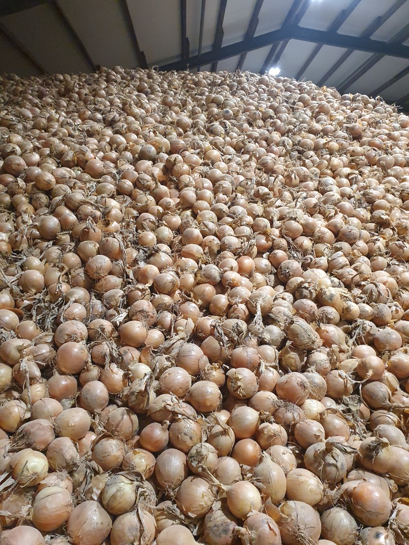 I am selling onions, imported from Germany