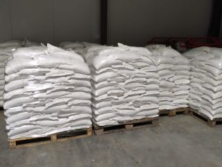 I will sell wholesale quantities of dwarf beans 100/135