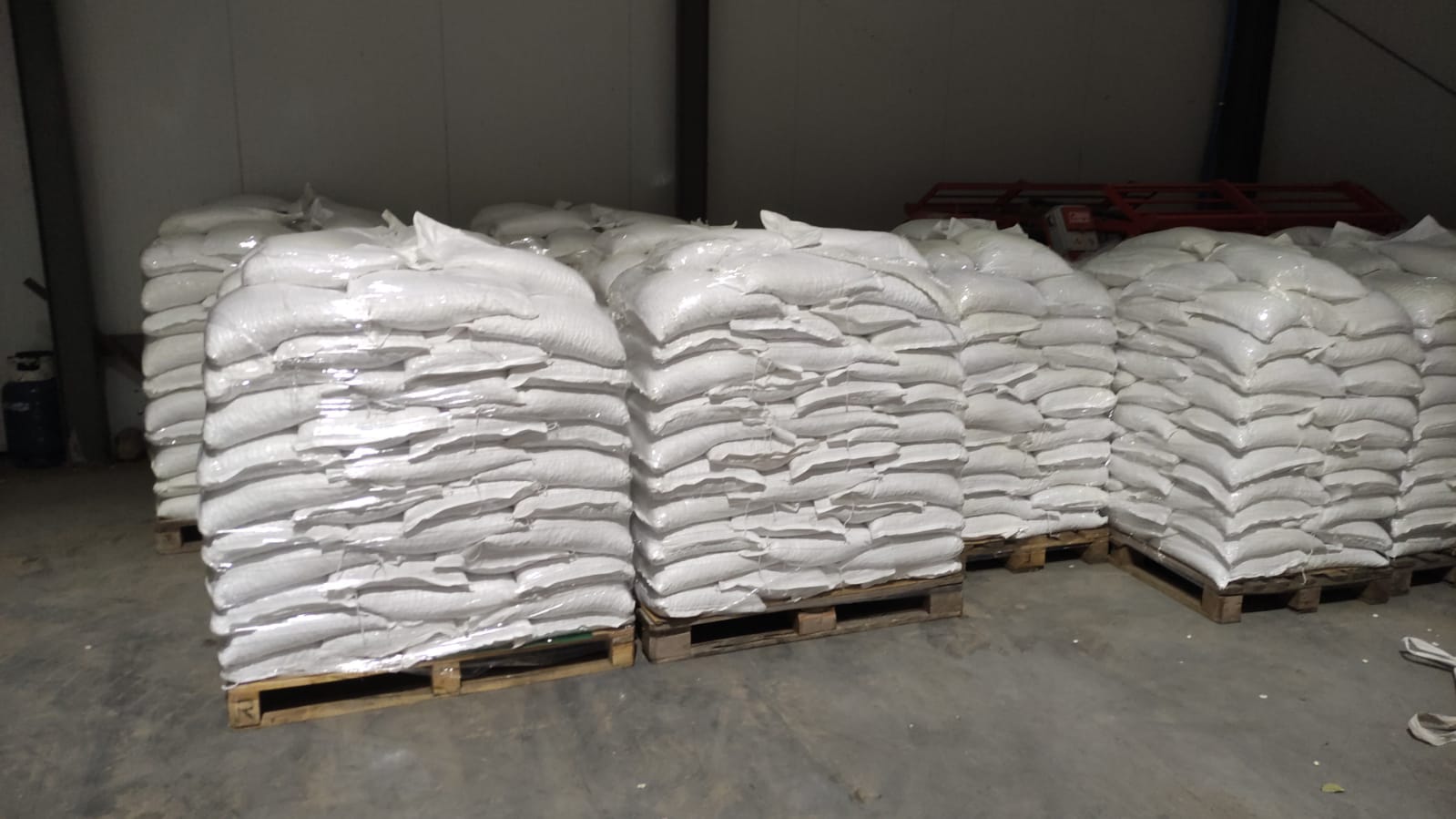 I will sell wholesale quantities of dwarf beans 100/135 pcs / 100gr