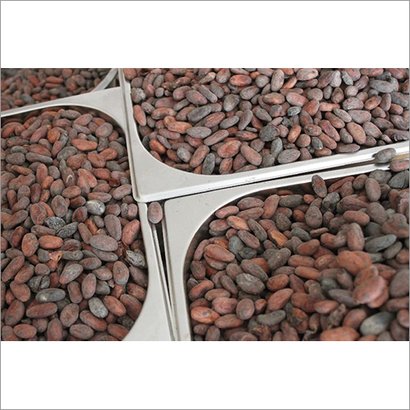Natural Cocoa Beans We are well poised in business as a trader and exporter to meet demanding needs of clients for different products, ranging from Industrial