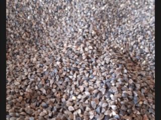 I will sell certified organic buckwheat, the amount of