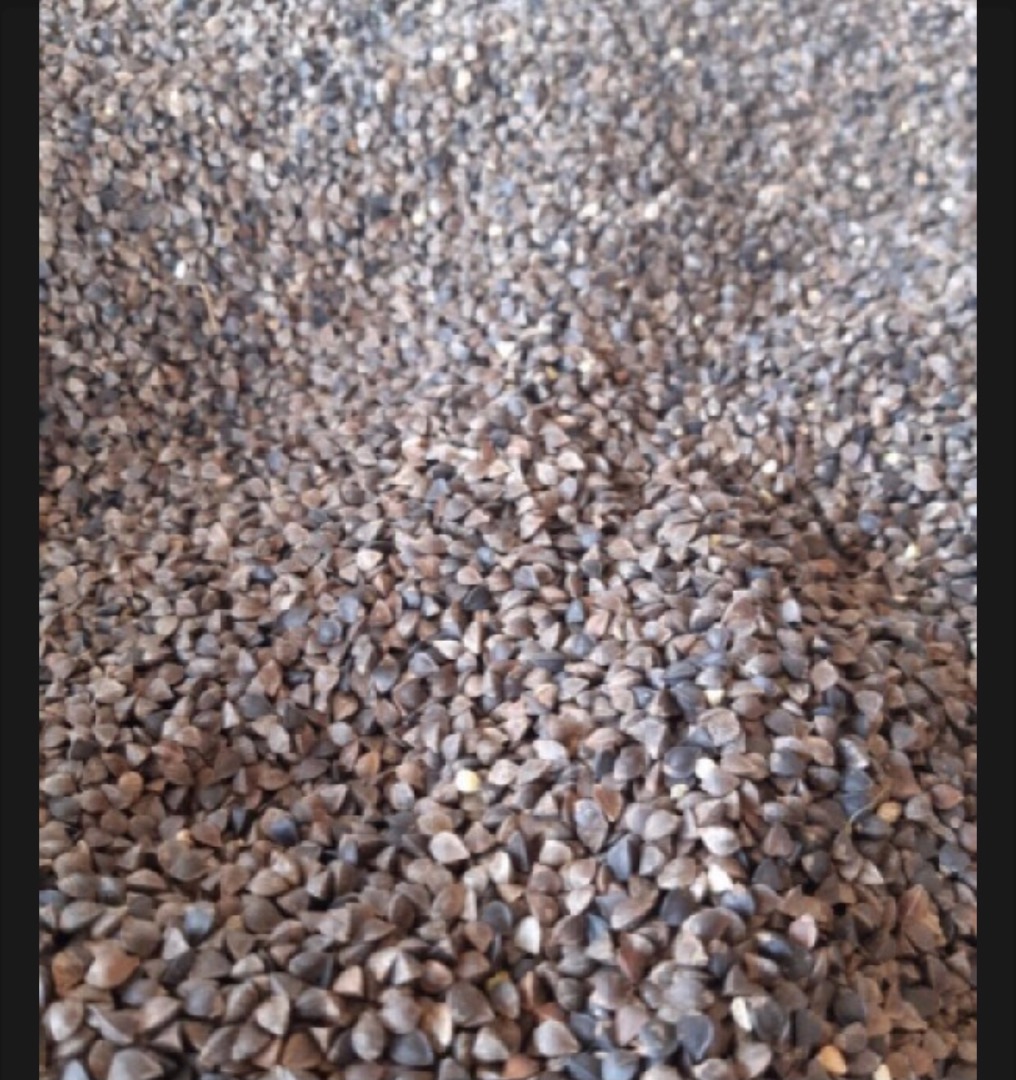 I will sell certified organic buckwheat, the amount of 25 tons cleared, meets all technological standards